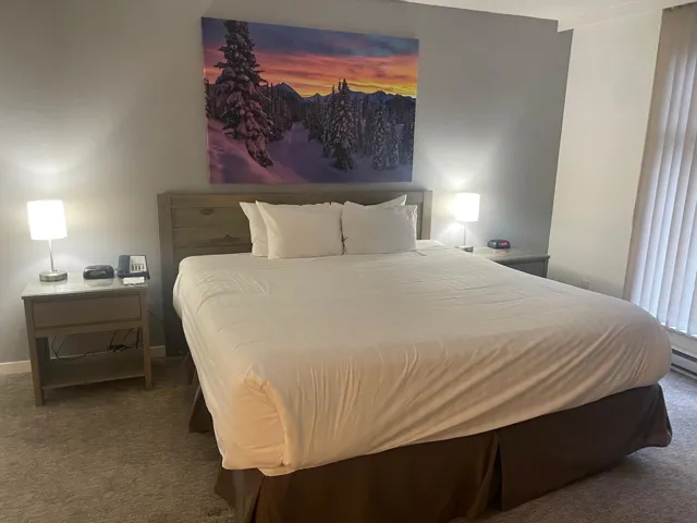 Bedroom featuring carpet flooring