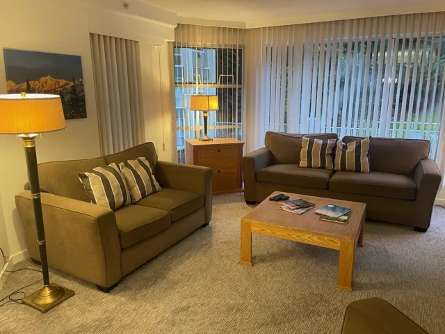 Living area with carpet