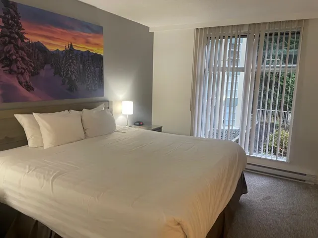 Bedroom with a baseboard radiator and carpet