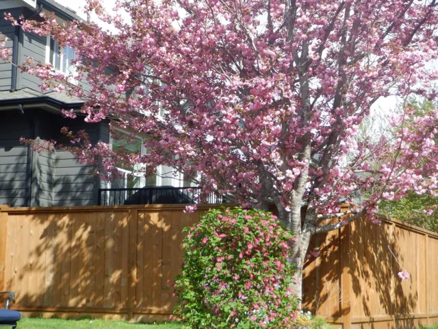 View of home's exterior