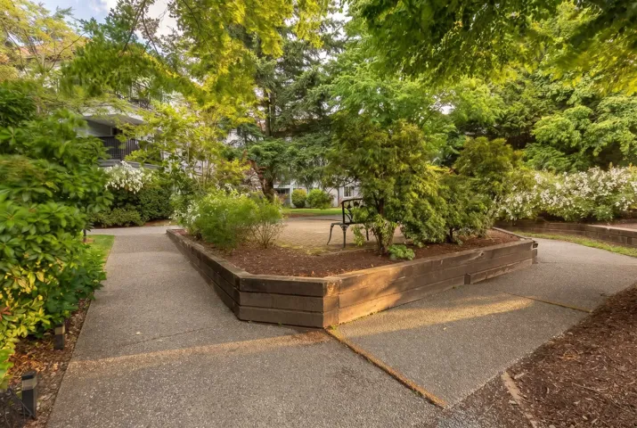 Manicured garden area with mature trees and shrubbery, featuring exposed aggregate pathways