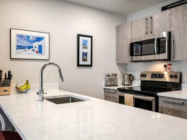 Kitchen with gray cabinetry, a sink, a peninsula, and appliances with stainless steel finishes