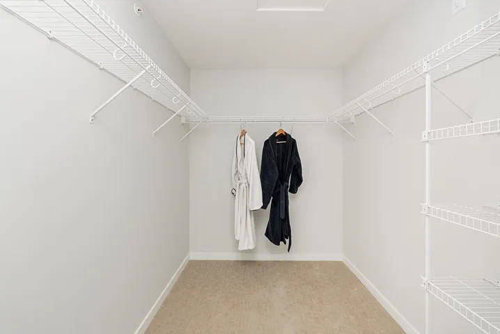 Spacious closet featuring light colored carpet