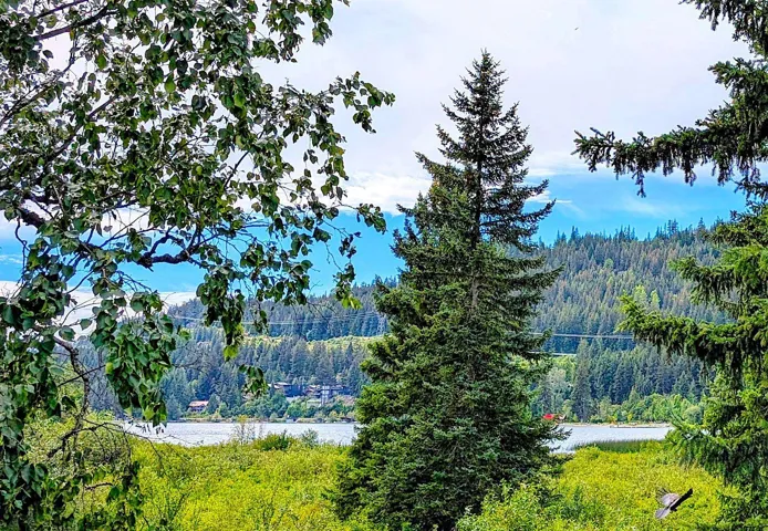 Surrounding community with a wooded view