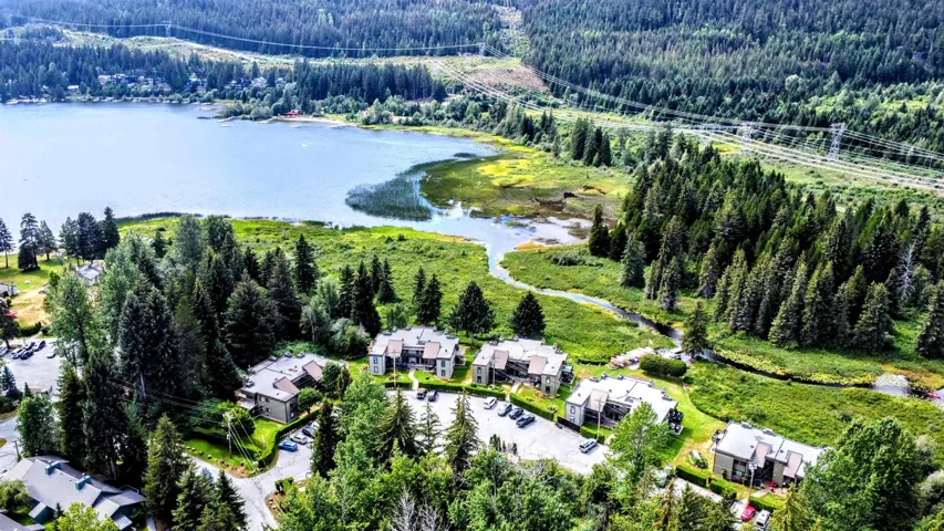 Aerial view of a heavily wooded area and a large body of water