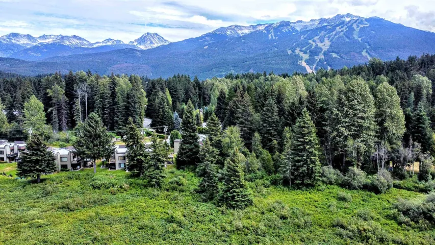 View of mountain background featuring a forest
