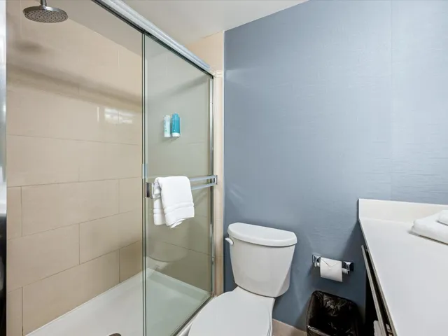 Full bathroom featuring vanity and a stall shower