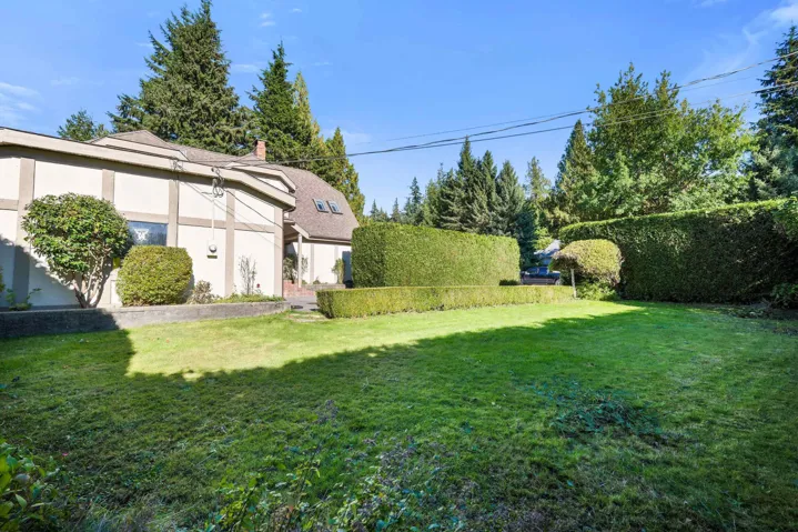 View of grassy yard