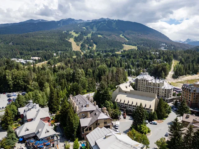 Drone / aerial view of a heavily wooded area and mountains