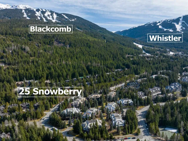 Aerial view of property and surrounding area featuring mountains and a forest