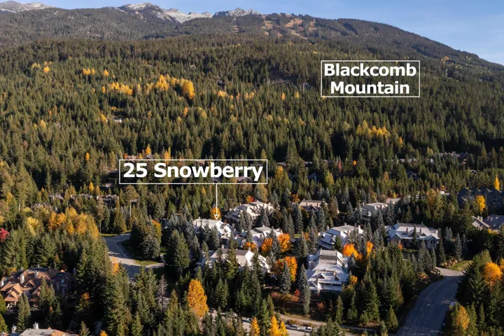 View of property location with mountains and a forest