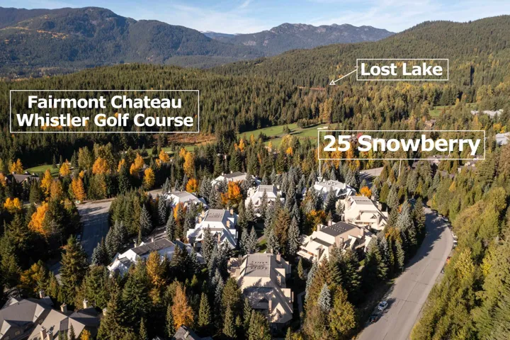 Drone / aerial view of a heavily wooded area and a mountain backdrop