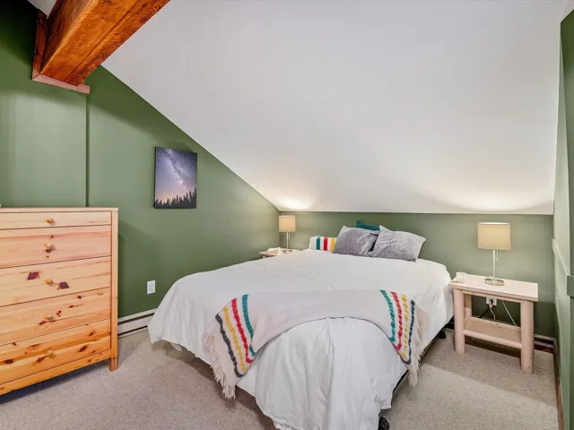 Bedroom featuring baseboards, vaulted ceiling, a baseboard heating unit, and carpet flooring