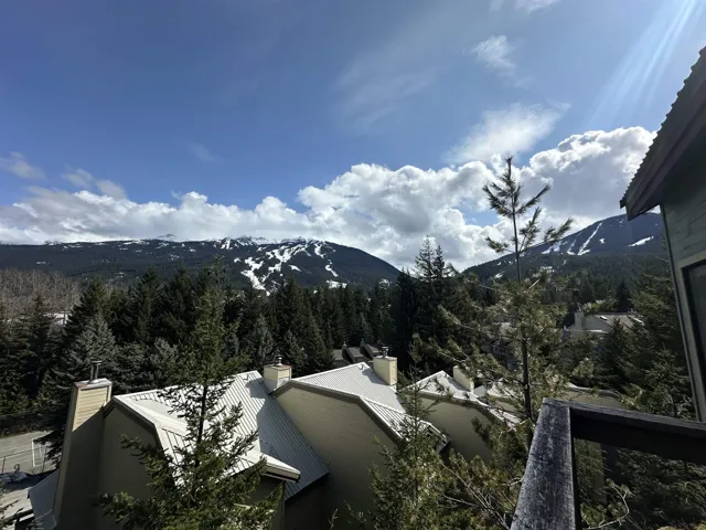 Mountain view featuring a wooded view