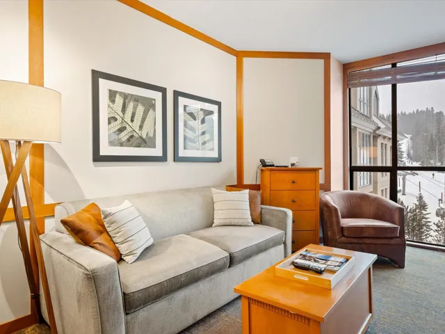 Living area with floor to ceiling windows and dark colored carpet