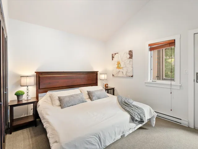 Carpeted bedroom with high vaulted ceiling and a baseboard radiator