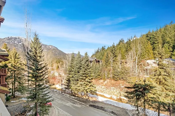 Mountain view featuring a forest view