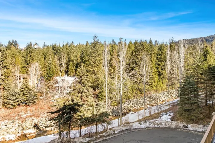 View of local wilderness with a wooded view