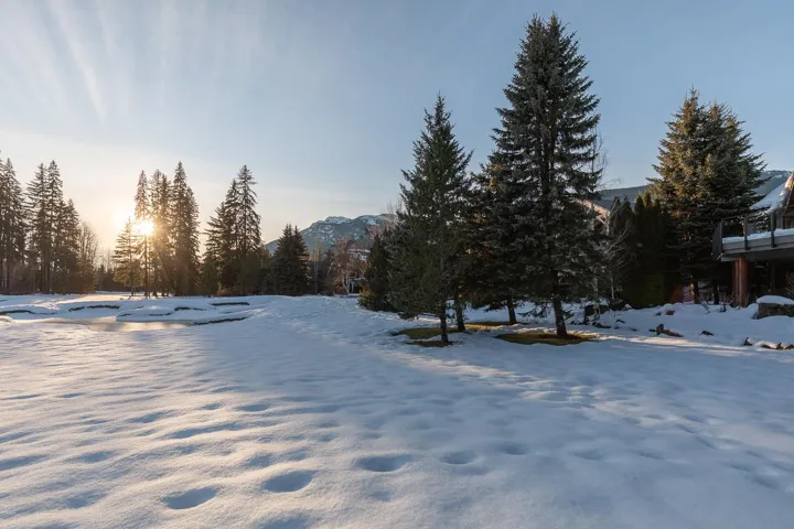Snowy yard featuring view of scattered trees