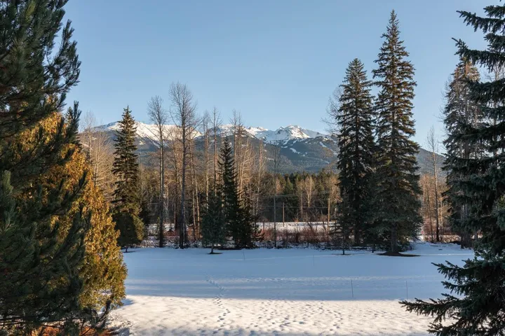 View of mountain background