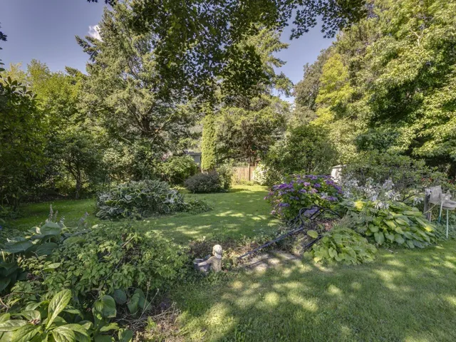 View of yard with view of scattered trees