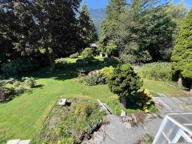 View of grassy yard