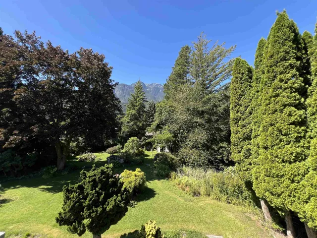View of grassy yard featuring a wooded view and a mountain view