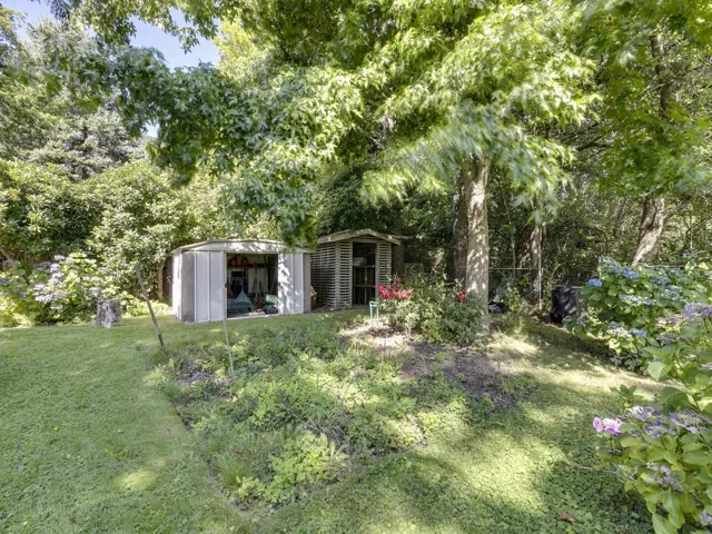 View of green lawn with a shed and view of scattered trees