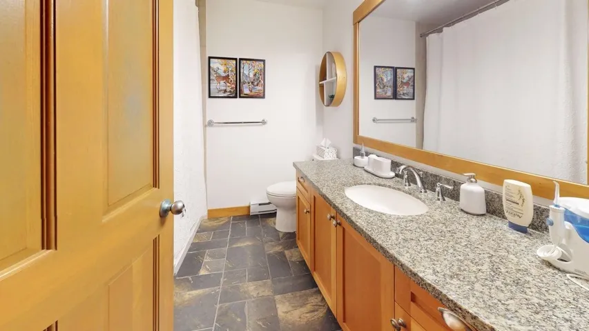 Bathroom with vanity, a shower with curtain, and a baseboard radiator