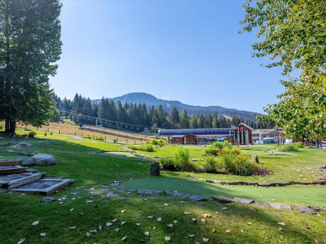 View of mountain background featuring a forest