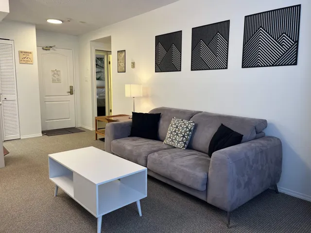 Carpeted living area featuring a white entry door with privacy lock, a built-in louvered closet, and an overhead flush-mount light fixture