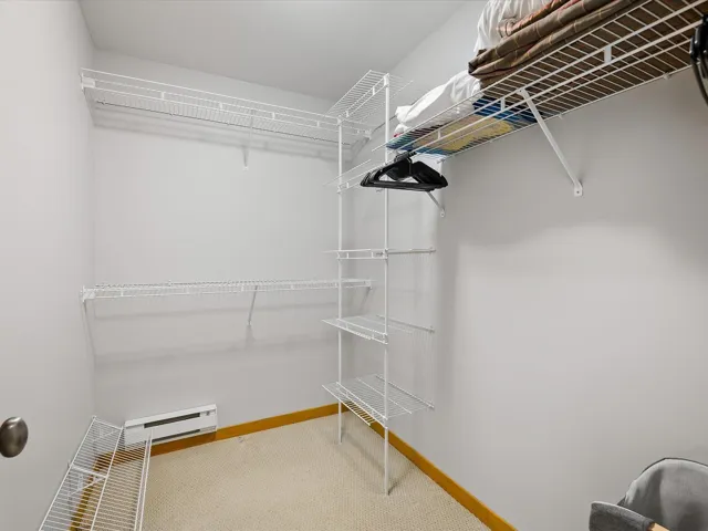 Spacious closet with a baseboard radiator and light colored carpet