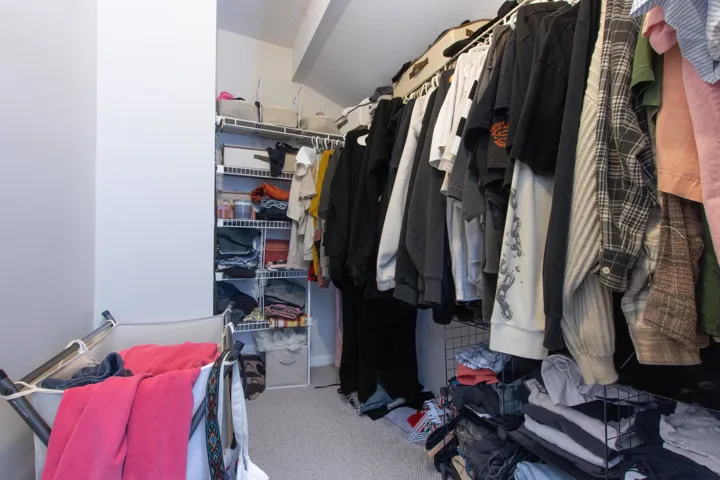 Walk in closet with carpet and lofted ceiling
