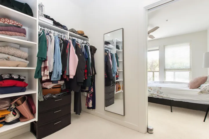 Spacious closet with carpet
