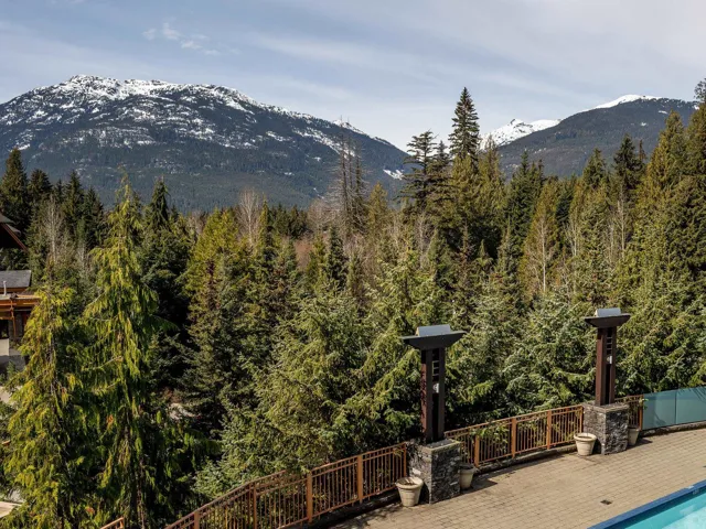 Mountain view with a heavily wooded area