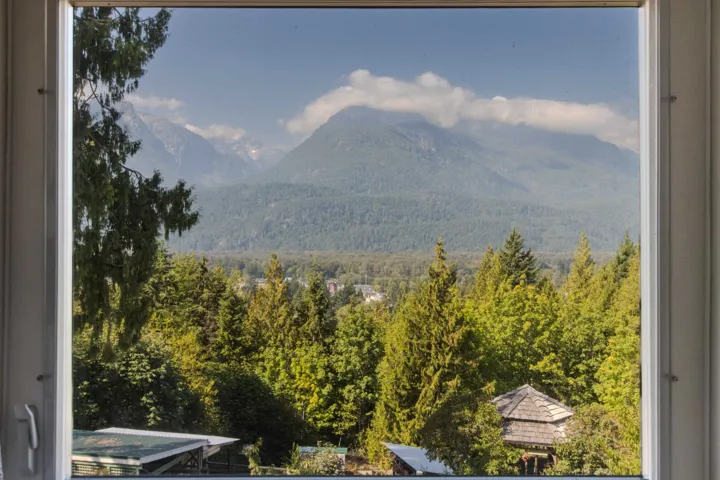 Mountain view featuring a heavily wooded area