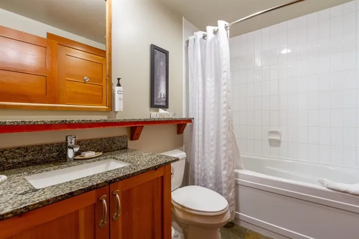 Bathroom featuring vanity, toilet, and shower / bath combo