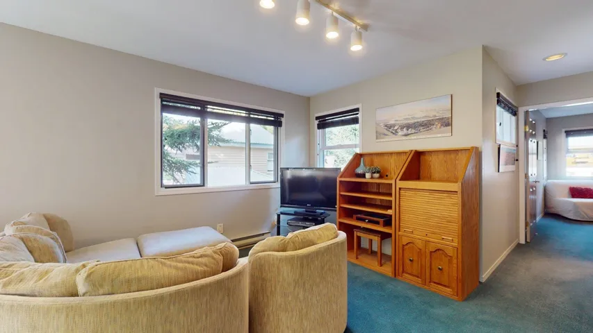 Living room with carpet floors, healthy amount of natural light, rail lighting, and baseboard heating