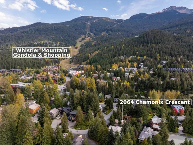 Aerial view of property and surrounding area featuring a mountainous background and a forest