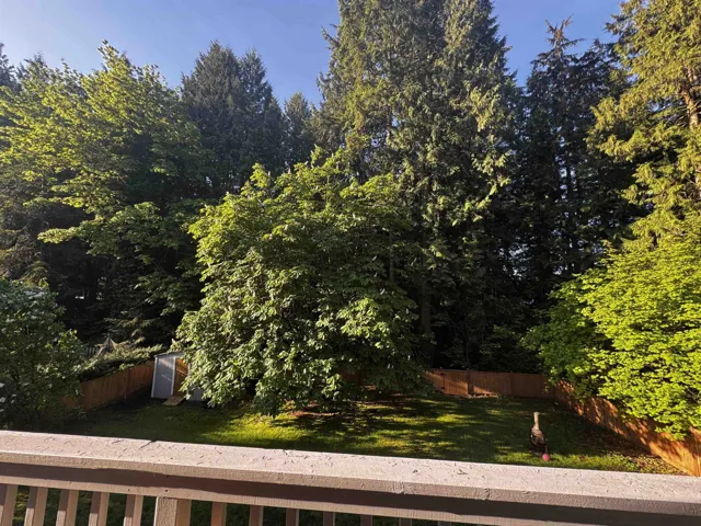 Expansive backyard featuring a manicured lawn, established trees, and a privacy fence
