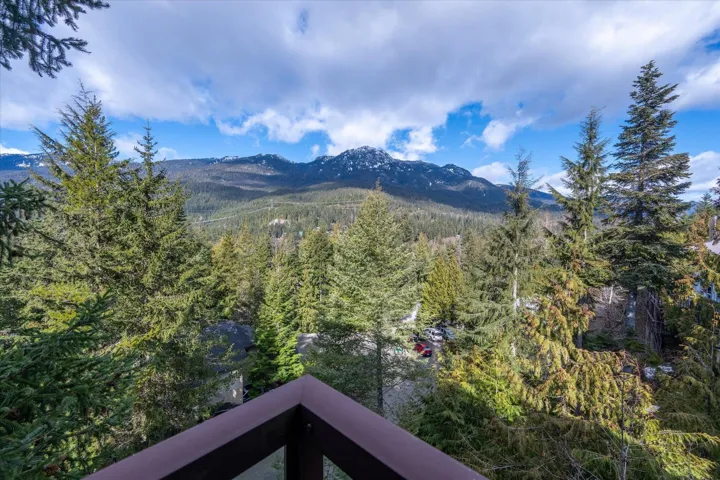 View of mountain backdrop featuring a forest