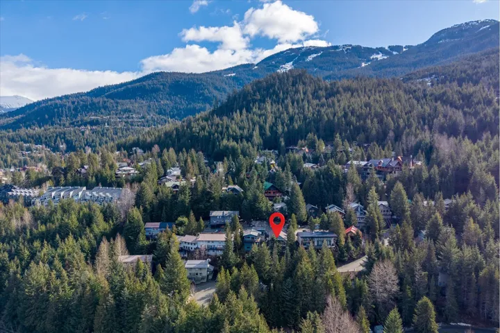 View of mountain backdrop featuring a forest