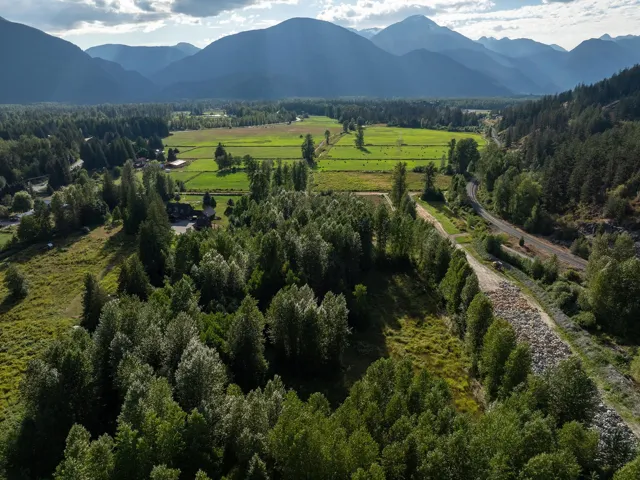 Aerial view of a mountain backdrop and a forest