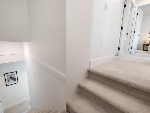 Stairs with carpet flooring
