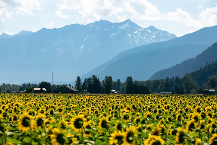 View of mountain background with rural landscape and extensive farmland