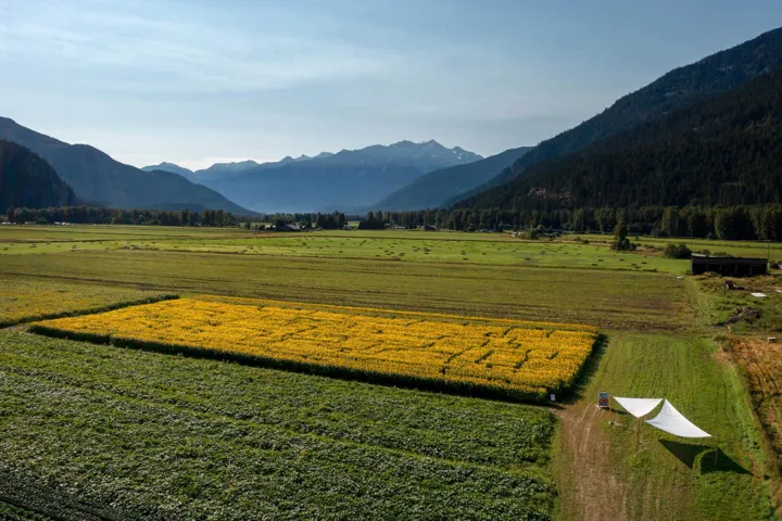 View of mountain backdrop featuring rural landscape and rows of crops