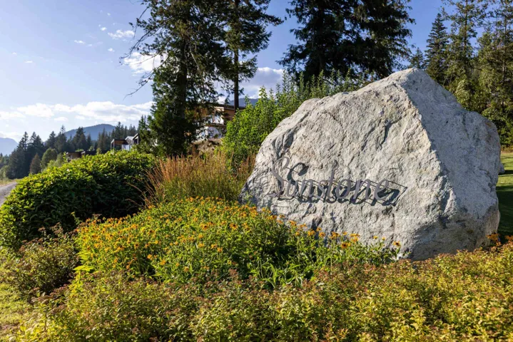 View of mountain background with a heavily wooded area