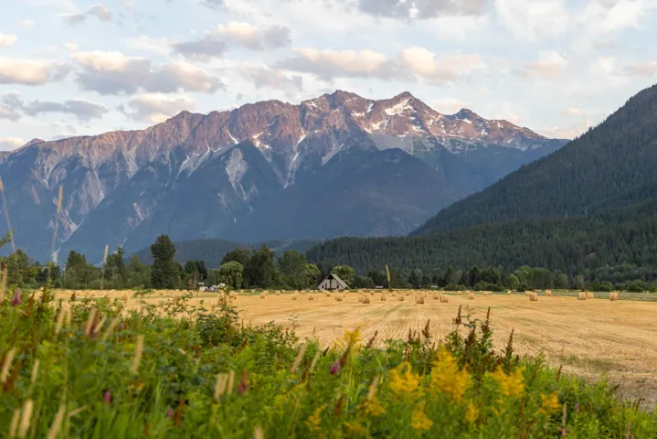 Mountain view featuring rural landscape and a forest