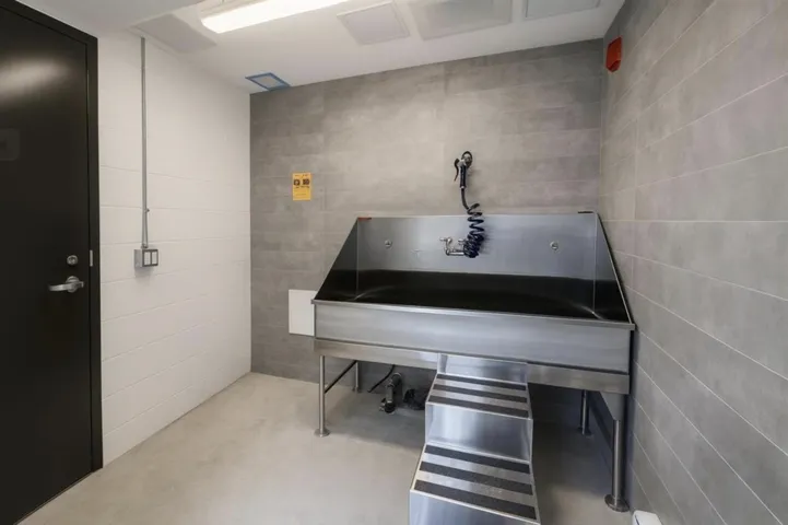 Dedicated pet washing station featuring a stainless steel basin with an integrated hose sprayer and faucet
