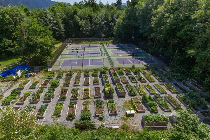 Birds eye view of property featuring a view of trees
